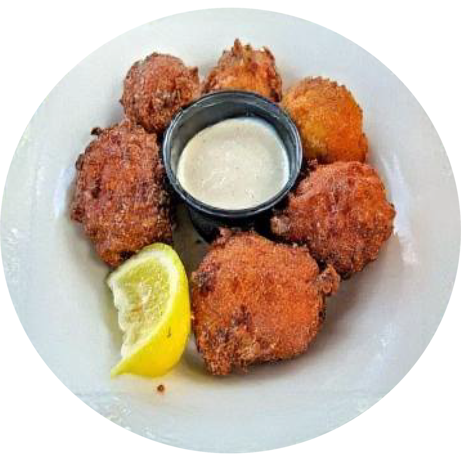 CONCH FRITTERS. 6pc